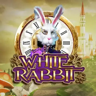 Palmsbet White Rabbit Deutschland